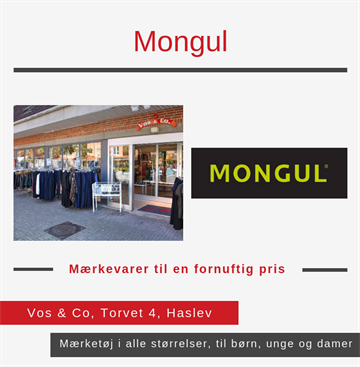 Mongul, Vos & Co., Haslev